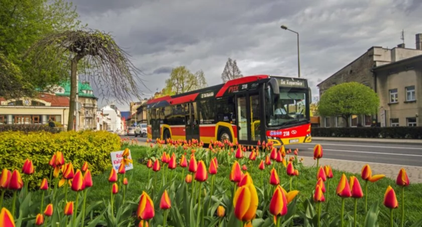 FOTO: UM Bielsko-Biała