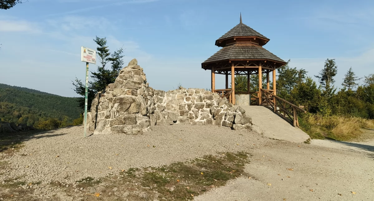 Foto: UM Bielsko-Biała/ Krzysztof Włosiński 