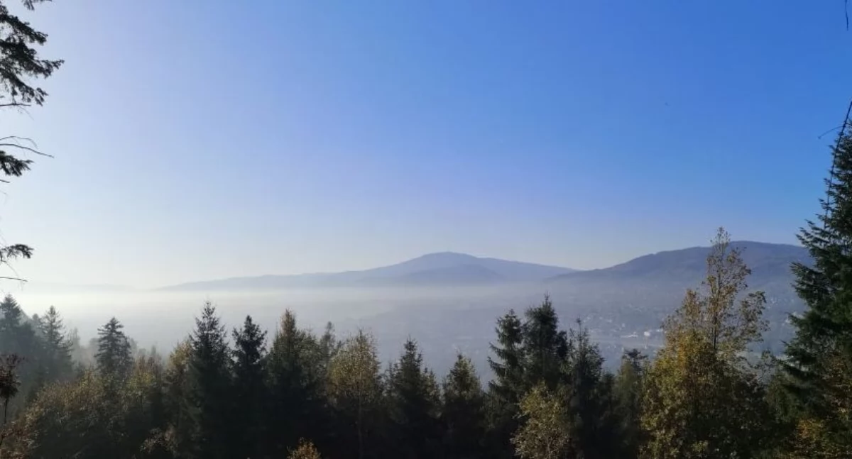 Ekologia, Kontrole domach objętych progamem Czyste Powietrze może spodobać inspektorom - zdjęcie, fotografia