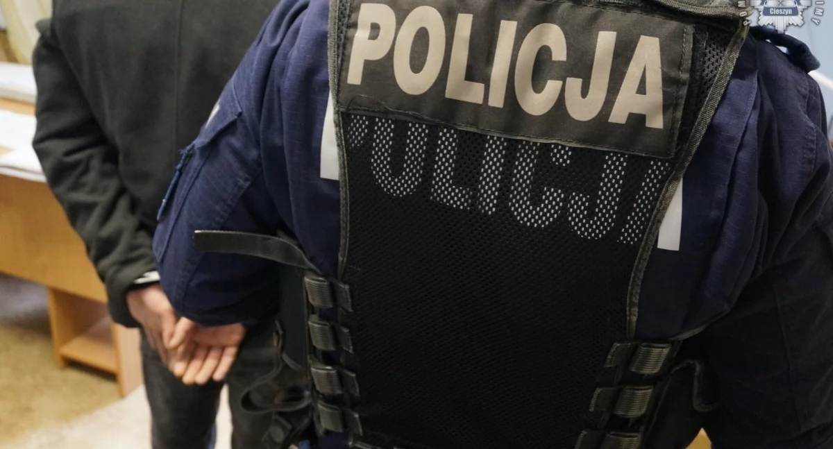 Policja, Policjanci zatrzymali sprawcę napaści seksualnej ulicy Folwarcznej - zdjęcie, fotografia