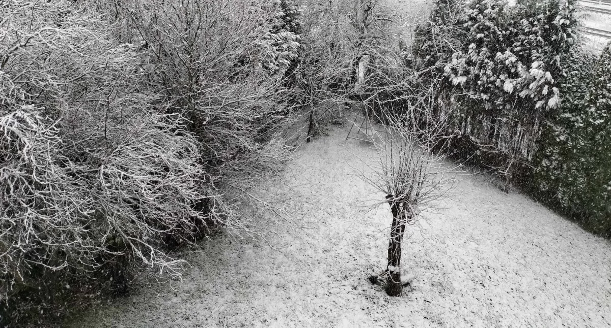 Pogoda, Halny przywiał zimę Pierwsze większe opady śniegu całym regionie - zdjęcie, fotografia