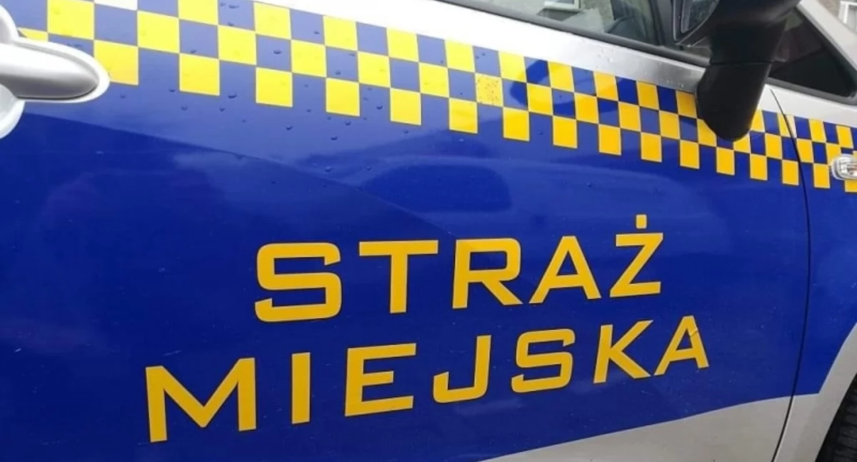 Policja, Zdewastował trucka świątecznym jarmarku - zdjęcie, fotografia