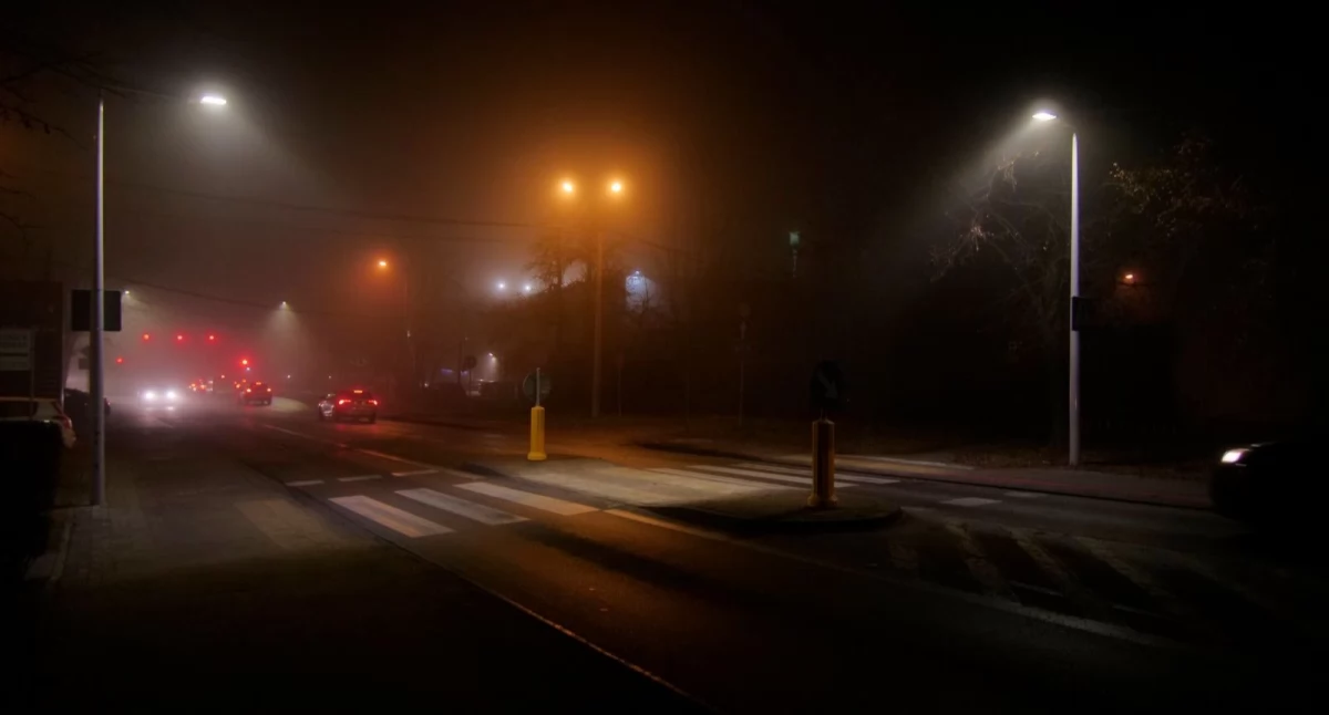FOTO: MZD Bielsko-Biała