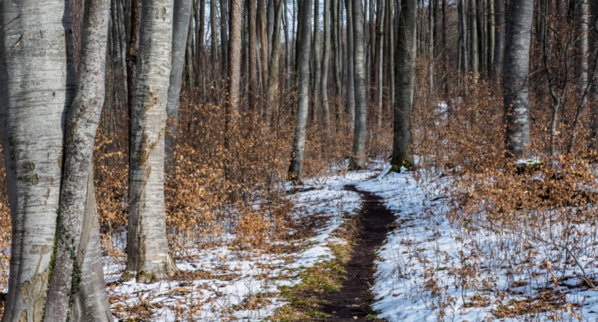Pogoda, Zmiany pogody Beskidach Nadciąga ocieplenie - zdjęcie, fotografia