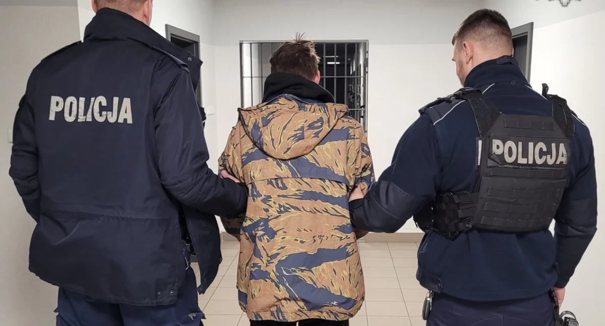 Policja, Efektywne działania bielskiej policji zatrzymanych głównie cudzoziemców - zdjęcie, fotografia