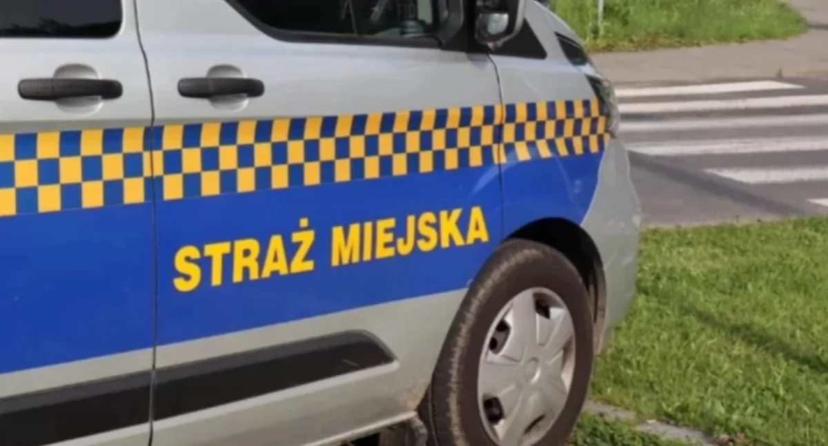 Policja, Pijany złodziej toalecie Interwencja straży miejskiej stacji benzynowej - zdjęcie, fotografia