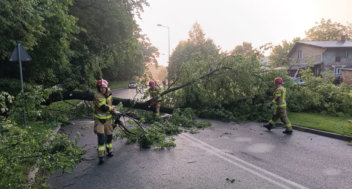 Foto: PSP w Bielsku-Białej mł. bryg. Damian Markiel