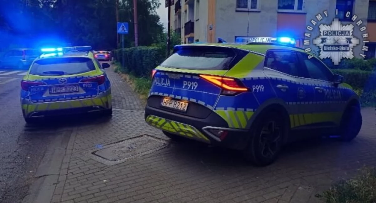 Poszukiwani i zaginieni , Szybka akcja służb ratunkowych Zaginiona dziewczynka odnaleziona cała zdrowa - zdjęcie, fotografia