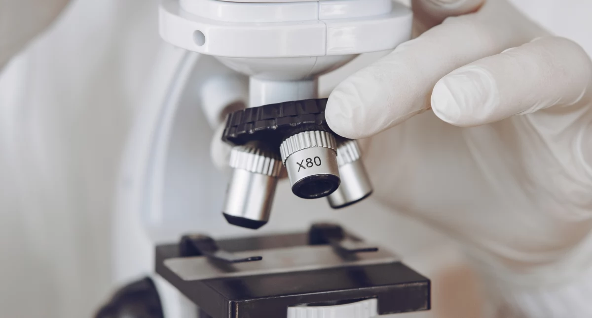 Biznes, Jakie rękawiczki wybrać pracy laboratorium - zdjęcie, fotografia