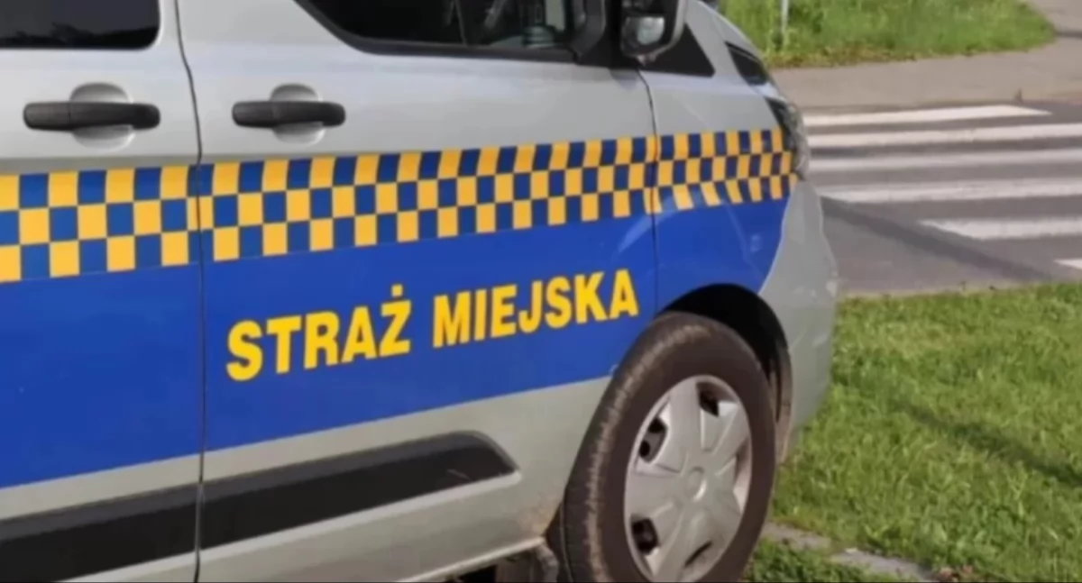 Policja, Interwencja Straży Miejskiej Łukasiewicza Sprawca zatrzymany gorącym uczynku - zdjęcie, fotografia