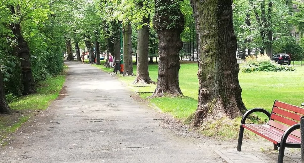 Atrakcje, Oddech rytmie natury ścieżka edukacyjna Parku Włókniarzy - zdjęcie, fotografia