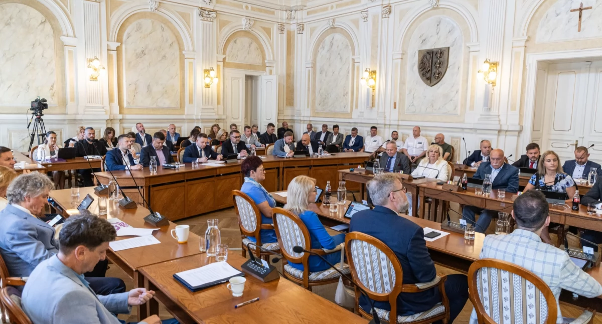 Polityka i samorząd, Reorganizacja spółki Zieleń Miejska Decyzja Miejskiej Bielska Białej - zdjęcie, fotografia