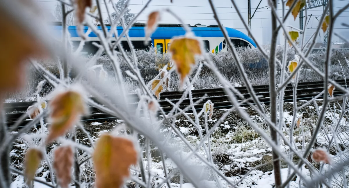Foto: Koleje Śląskie