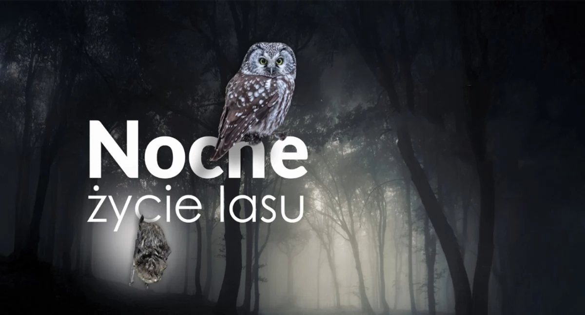 Ekologia, Babiogórski Narodowy zaprasza kolejne spotkanie cyklu - zdjęcie, fotografia