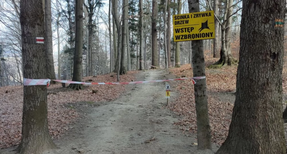 Rower, Trasa rowerowa Twister zamknięta Enduro Trails trwają prace leśne - zdjęcie, fotografia