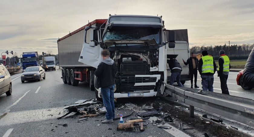 W okolicach Skoczowa sfora bezpańskich psów spowodowała