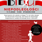 zdjęcie nr 11
