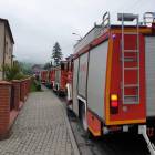 Fotka nr 4 z 10