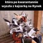 zdjęcie nr 20
