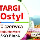 Fotka nr 0 z 1