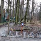 zdjęcie nr 7
