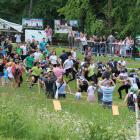 barbarian_race_wisla01