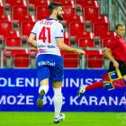 zdjęcie nr 10