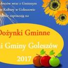 baner_dozynki