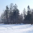 zdjęcie nr 8