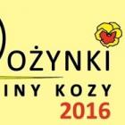 wai_dozynkiGminy2016