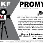 Fotka nr 0 z 1