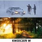 zdjęcie nr 25