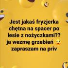 Fotka nr 0 z 1