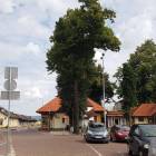 Fotka nr 2 z 4