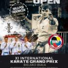 Polish Open, XI International Karate Grand Prix, Bielsko-Biała 2017 (3)
