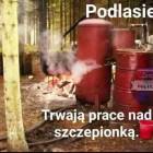 zdjęcie nr 91