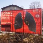 Płuca po tygodniu