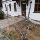 zdjęcie nr 8