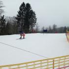Puchar Soszowa, slalom gigant, Wisła (2)