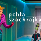 zdjęcie nr 7