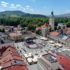 zywiec alfacam