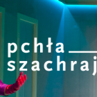 pchła szachrajka 4