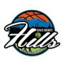 basket-hills-logo