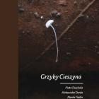 bbfan-Grzyby_Cieszyna-1