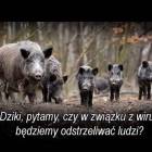zdjęcie nr 54