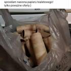 zdjęcie nr 80