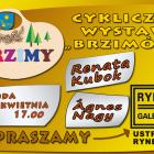 wystawa-brzimy-ustron