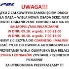 bbfan-wispol