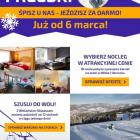 WS_Free_Ski_-_Mailing