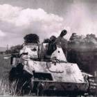 Fotka nr 5 z 8